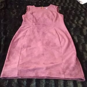 Calvin Klein Velour Dress